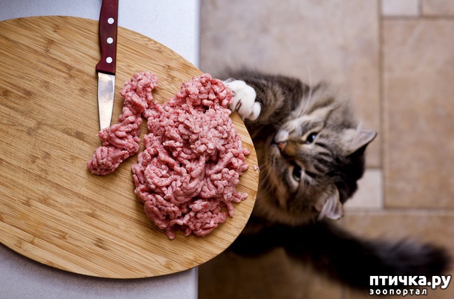 ���� 7: 9 ������ �� ����� �����