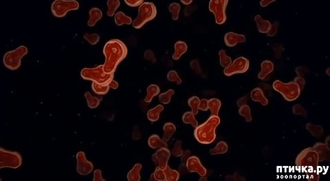 ���� 8: 9 ������ �� ����� �����