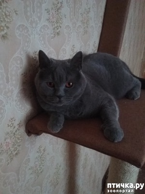 фотография: Верхолаз на гастролях фото: Верхолаз на гастролях