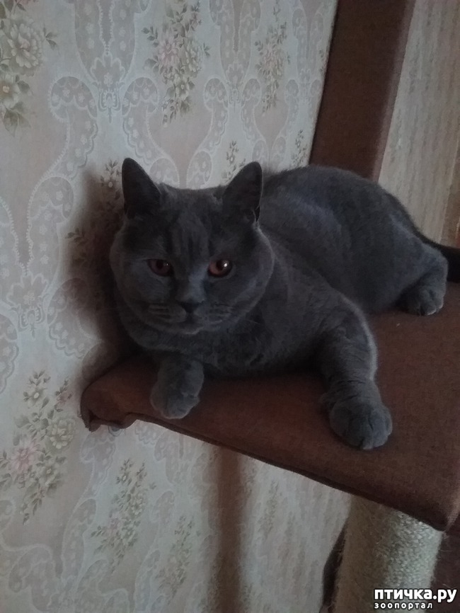 ���� 1: �������� �� ���������