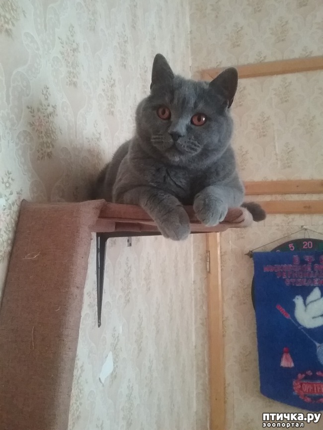 ���� 2: �������� �� ���������