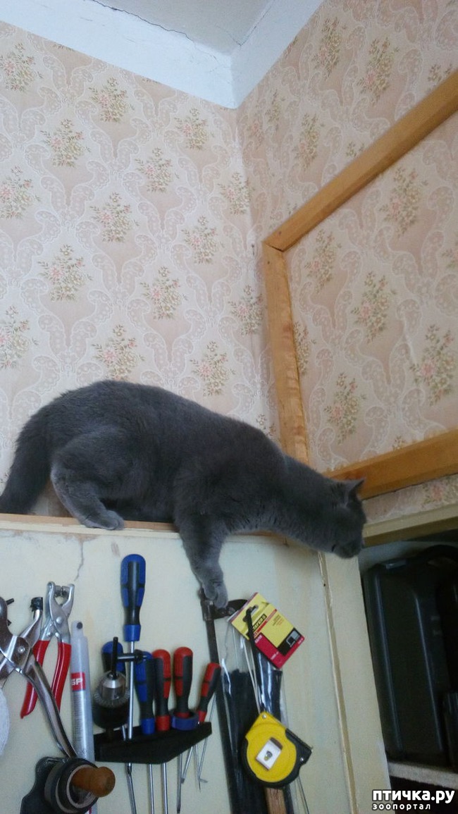 ���� 3: �������� �� ���������