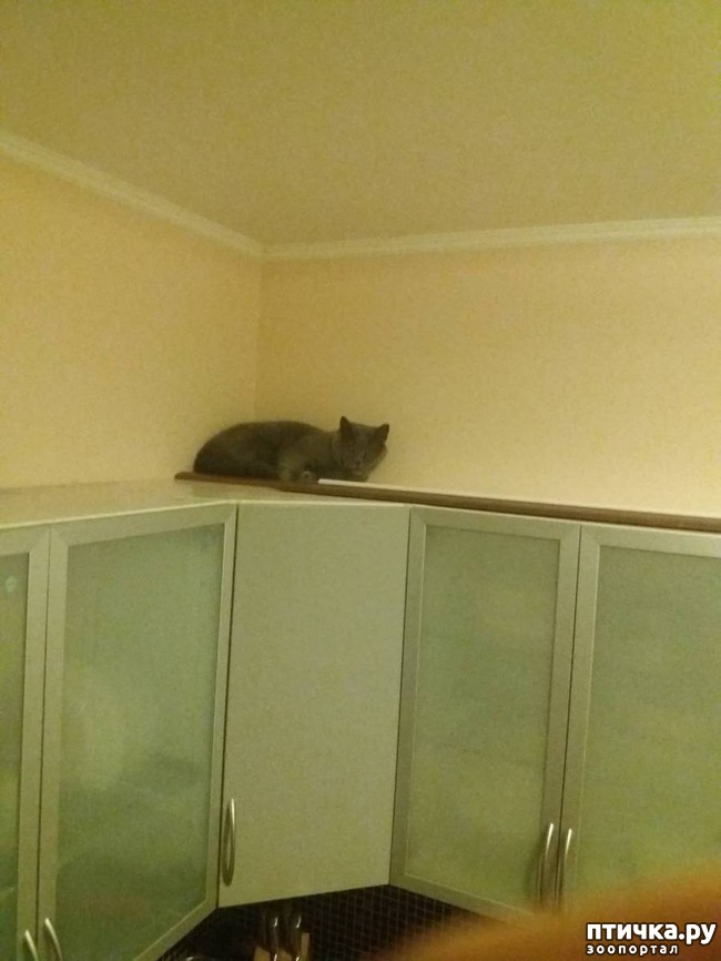 ���� 6: �������� �� ���������