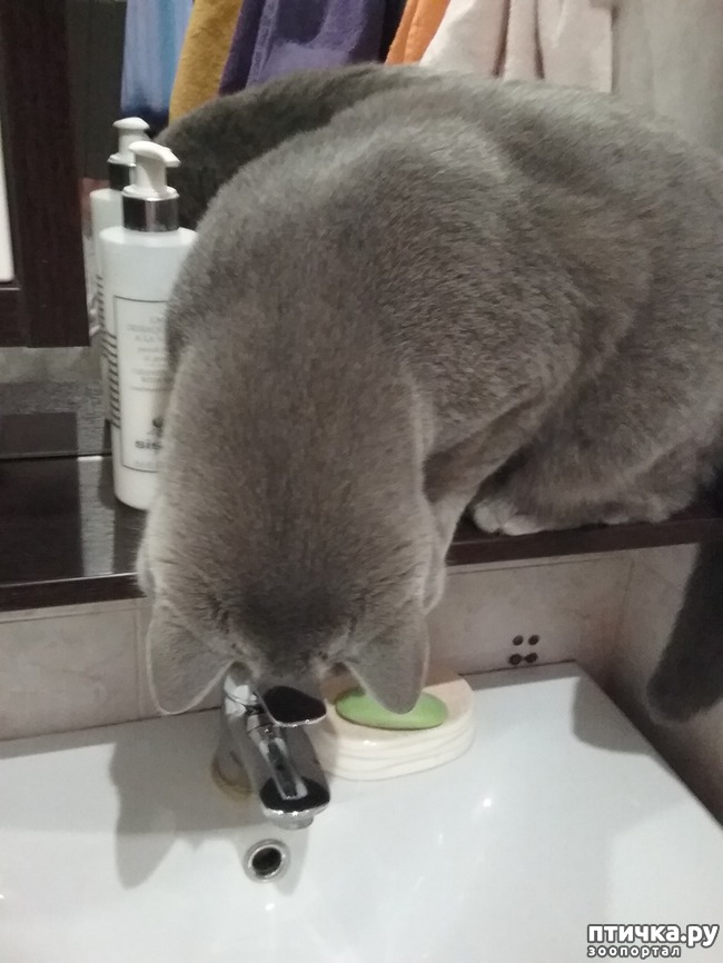 ���� 7: �������� �� ���������