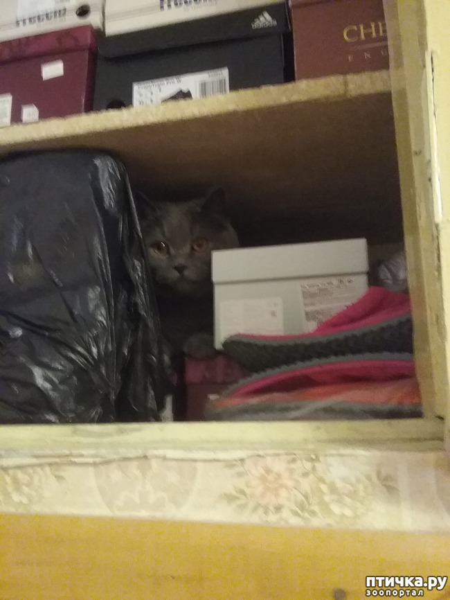 ���� 4: �������� �� ���������