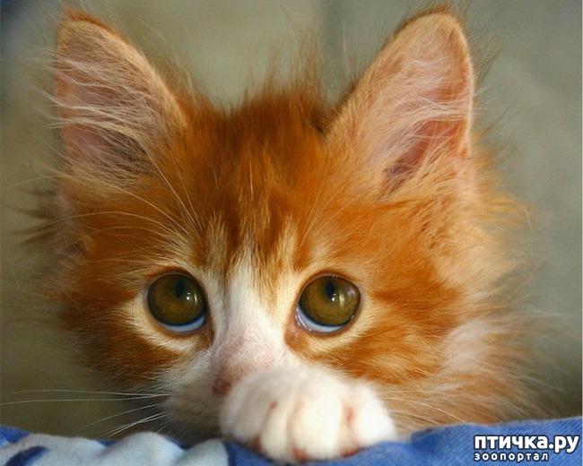 ���� 2: �� ��� ���� � ����� �� ��...