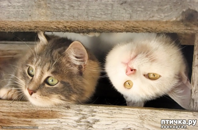 ���� 3: �� ��� ���� � ����� �� ��...