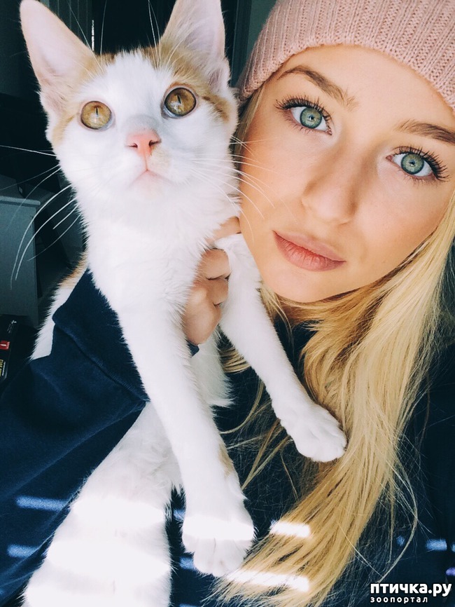 ���� 4: �� ��� ���� � ����� �� ��...