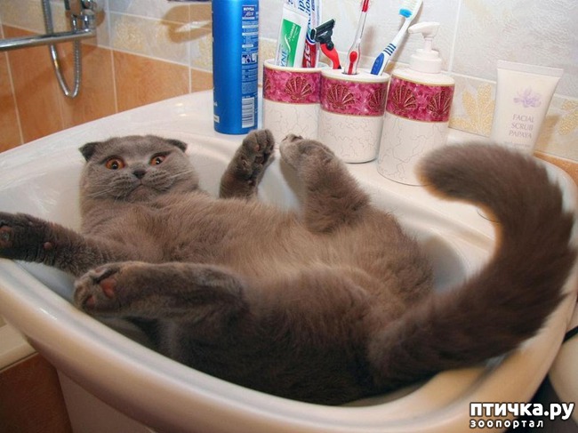 ���� 2: ������������