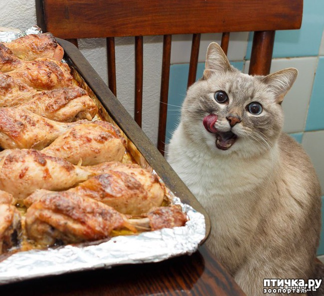 ���� 8: ������������