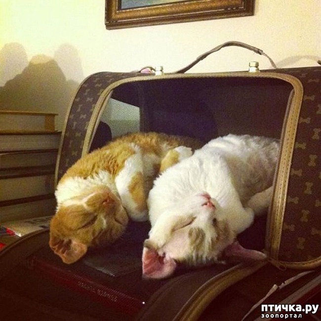 ���� 16: ������������