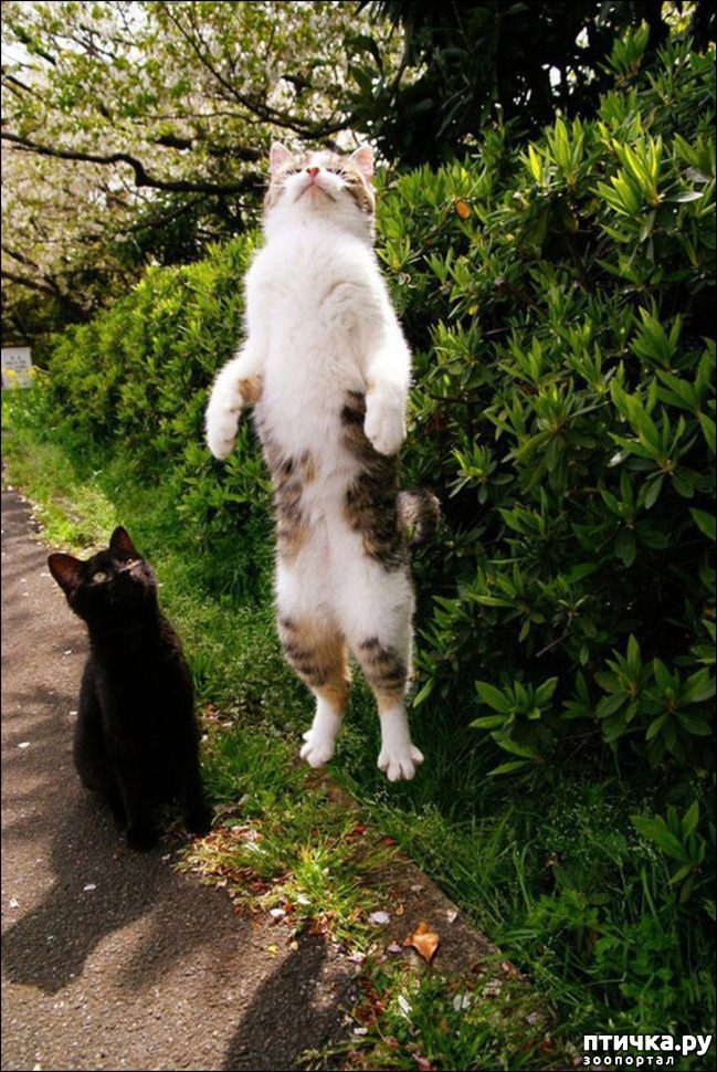 ���� 10: ������������