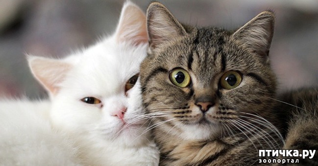 ���� 12: ������������