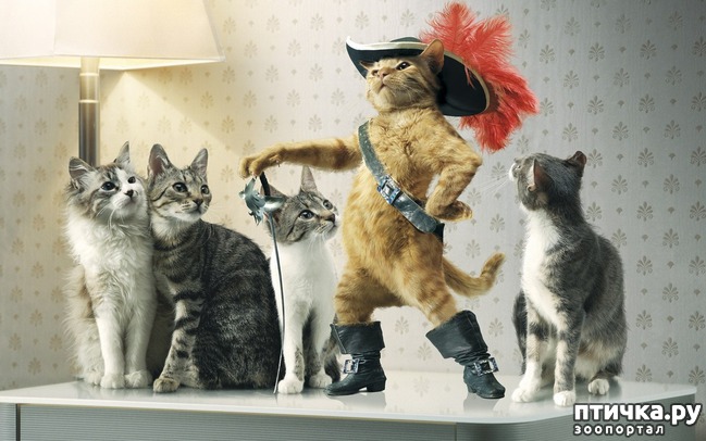 ���� 13: ������������