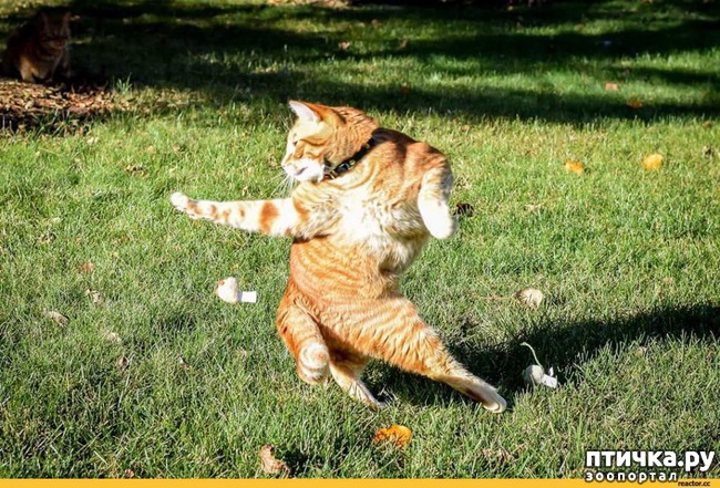 ���� 18: ������������