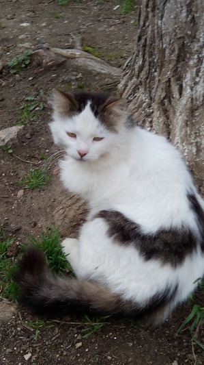 ����: ������������ �����