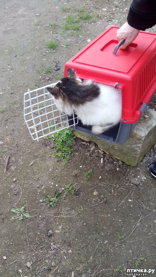 ���� 5: ������������ �����