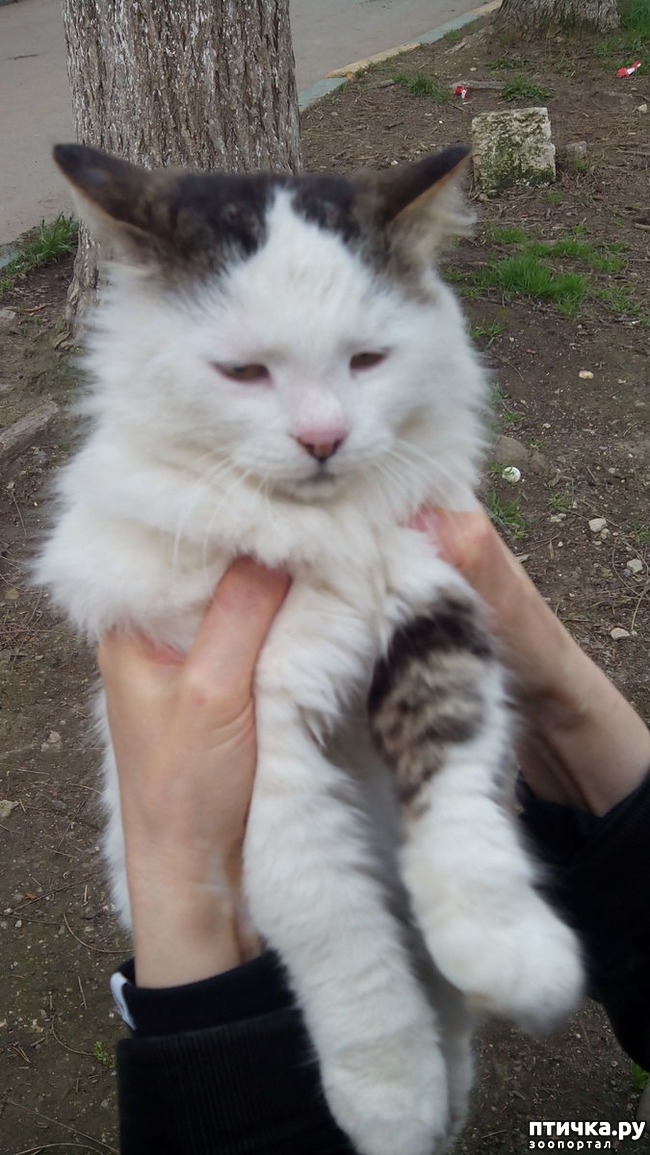 ���� 7: ������������ �����