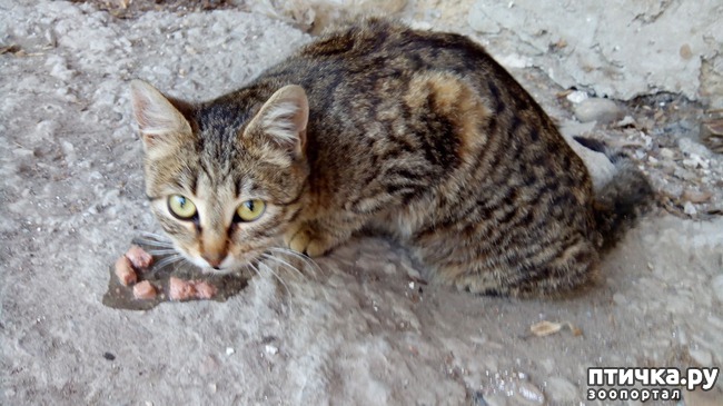 ���� 2: ������������ �����