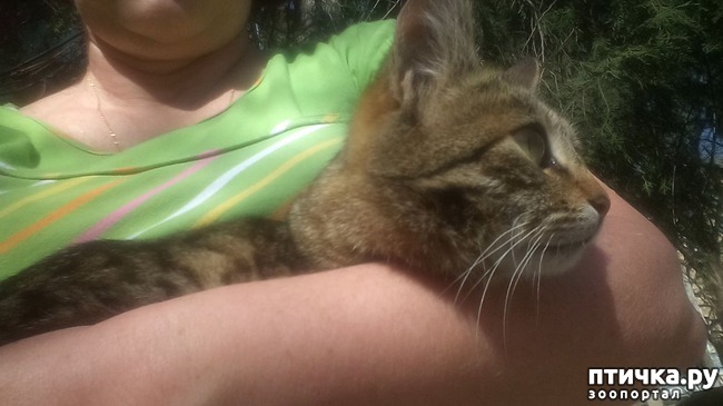 ���� 3: ������������ �����