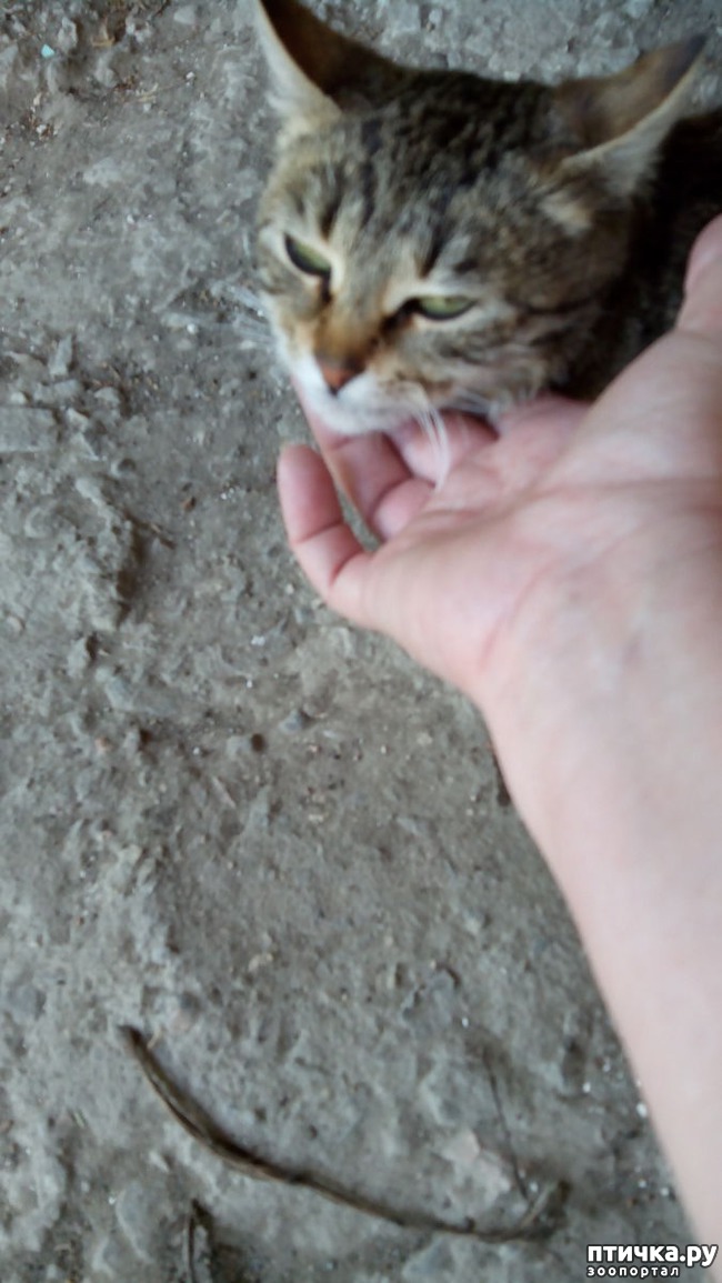 ���� 4: ������������ �����