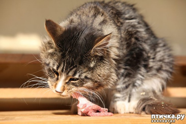 ���� 1: ������� ������