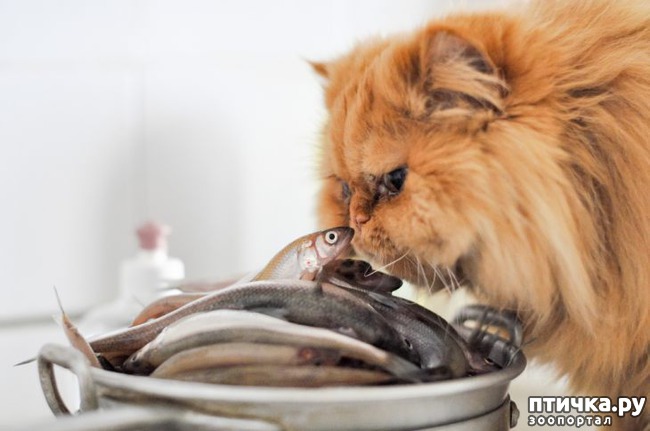 ���� 4: ������� ������