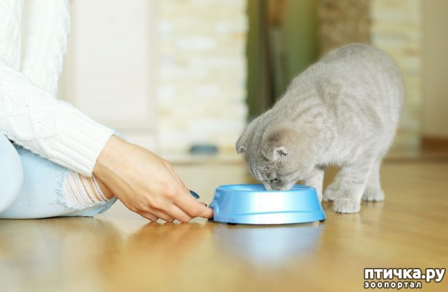 ���� 5: ������� ������