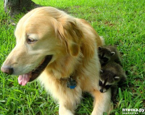 ���� 21: ������ - ������� ����