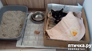 ����: ��� ���������