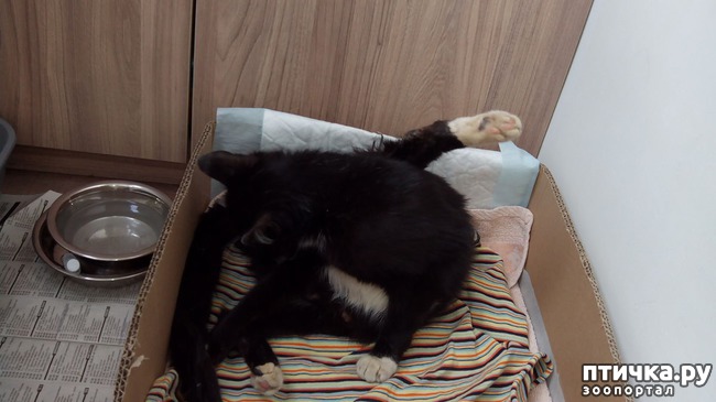 ���� 2: ��� ���������