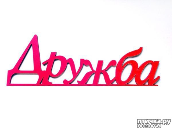 ���� 1: ������ - ������� ����