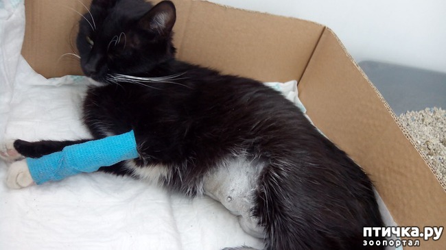 ���� 3: ��� ���������