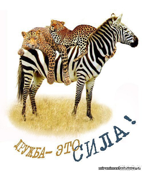 ���� 2: ������ - ������� ����