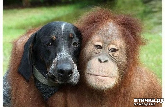 ���� 27: ������ - ������� ����