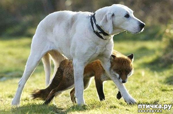 ���� 30: ������ - ������� ����