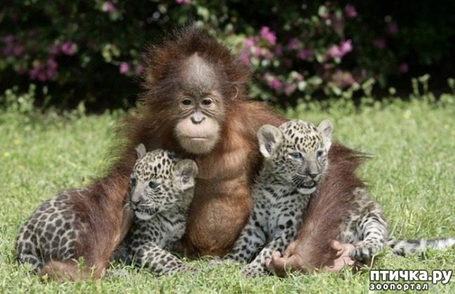 ���� 34: ������ - ������� ����