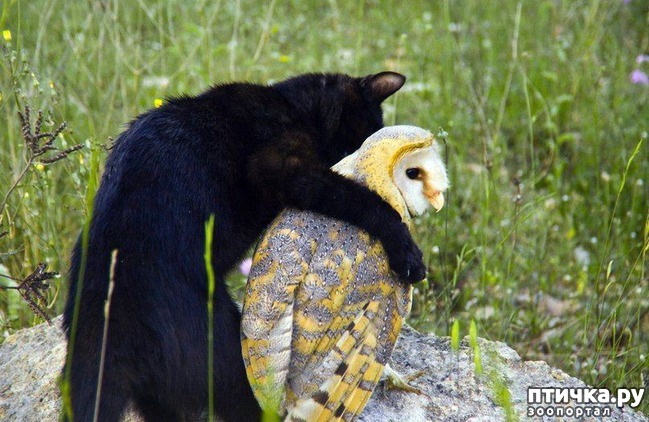 ���� 38: ������ - ������� ����