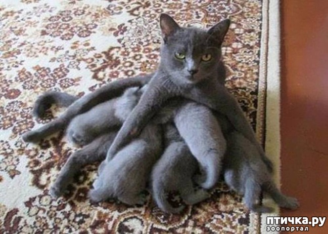 ���� 2: ���� 