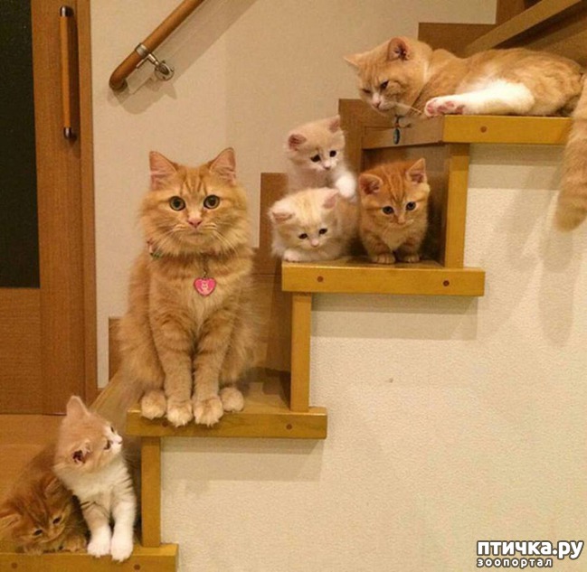 ���� 5: ���� 