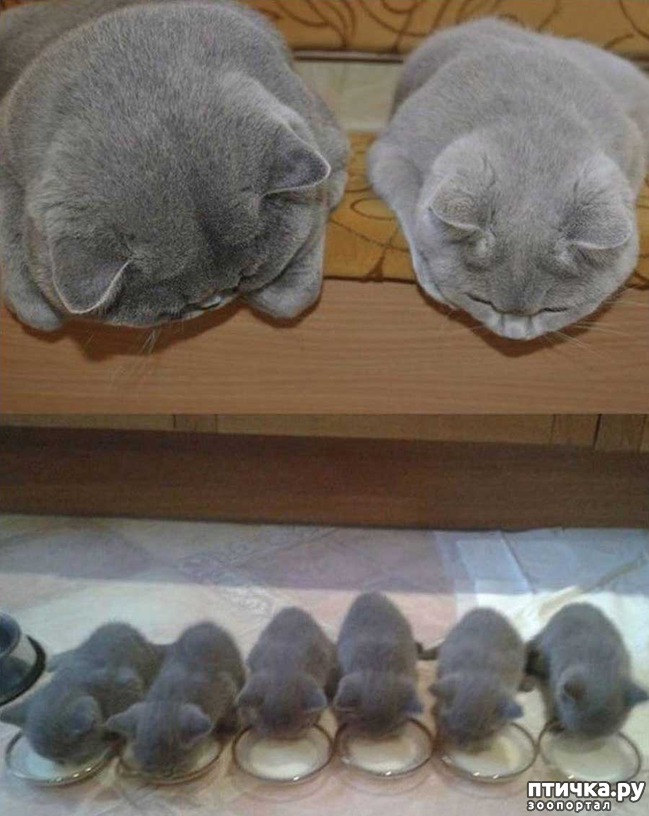 ���� 6: ���� 