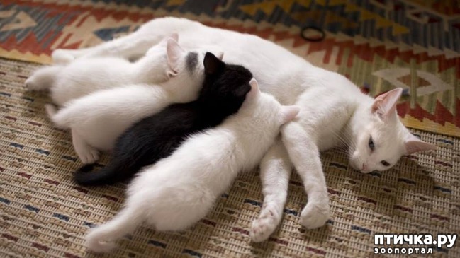 ���� 10: ���� 