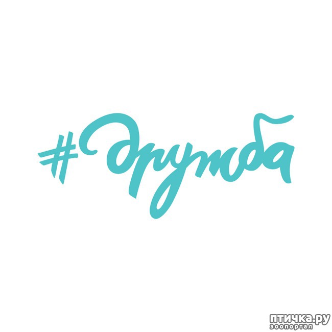 ���� 41: ������ - ������� ����