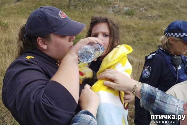 ���� 3: ������ ������ ������ ������.