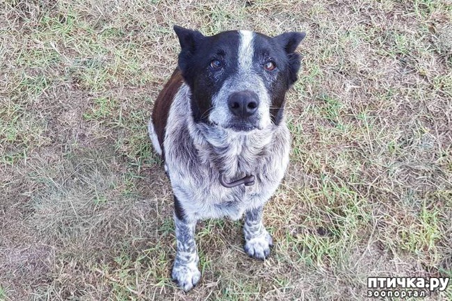 ���� 4: ������ ������ ������ ������.