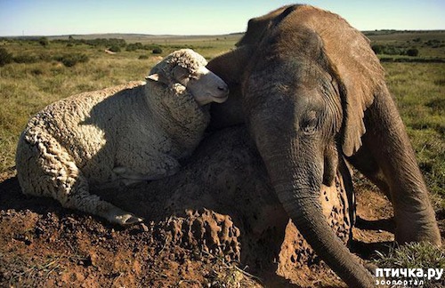 ���� 5: ������ - ������� ����