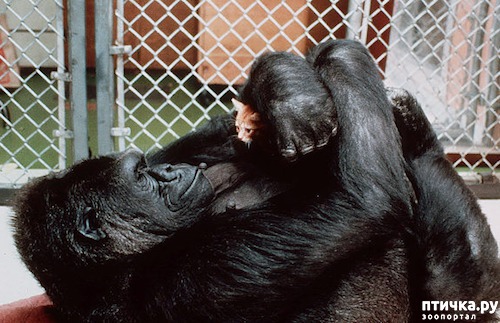 ���� 7: ������ - ������� ����