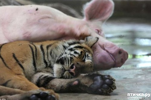 ���� 10: ������ - ������� ����