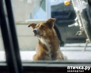 ����: ������ ����� ����� �������� ���� ������ ��������� �� ��������,