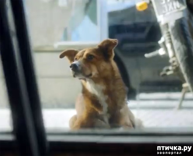 ���� 1: ������ ����� ����� �������� ���� ������ ��������� �� ��������,